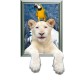 Polar Bear 3D Wall Decals PAG STICKER Removable Wall Art Animal Stickers Home Decor Gift