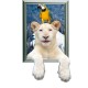 Polar Bear 3D Wall Decals PAG STICKER Removable Wall Art Animal Stickers Home Decor Gift Polar Bear 3D Wall Decals PAG STICKER Removable Wall Art Animal Stickers Home Decor Gift