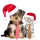 10 Pcs Pet Dog Cat Bow Ties Adjustable Pet Costume Necktie Collar Christmas Party Pet Accessories