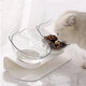 15° Tilt Angle Cat Food Bowl Raised Transparent Protect Cat's Spine Anti Vomiting Cat Dish Removable Easy Cleaning Pet Supplies