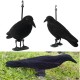1Pcs Birds Decoy Plastic Flocked Hard Black Crow Trap Decoration for Hunting Camping