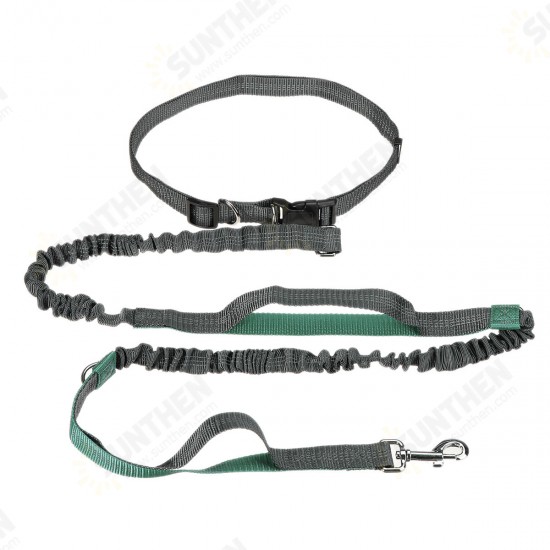 Adjustable Dog Waist Belt Elastic Reflective Pet Leash Jogging Metal D-ring Rope