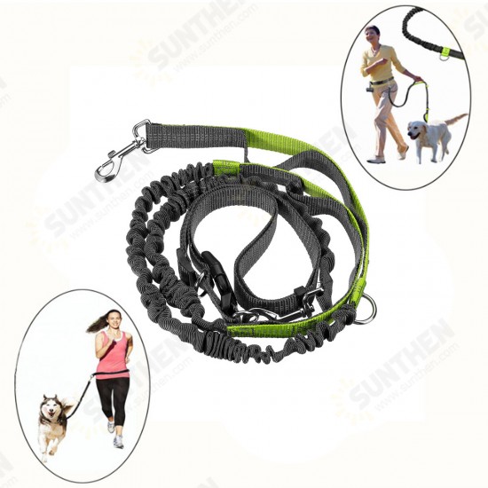 Adjustable Dog Waist Belt Elastic Reflective Pet Leash Jogging Metal D-ring Rope