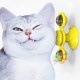Cat Funny Toy Multifunction Windmill Turntable Massage Tickle Toy Hair Brush Pet Interactive Game with Luminous Ball