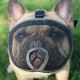 Dogs Bite Mask Outdoor Pet Supplies-M/L/XL