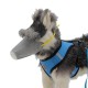 Epidemic Supplies Dog Dustproof Haze Mask Epidemic Mask Protective Dog Mouth Cover Pet Dog Mask S/M/L Epidemic Supplies Dog Dustproof Haze Mask Epidemic Mask Protective Dog Mouth Cover Pet Dog Mask S/M/L