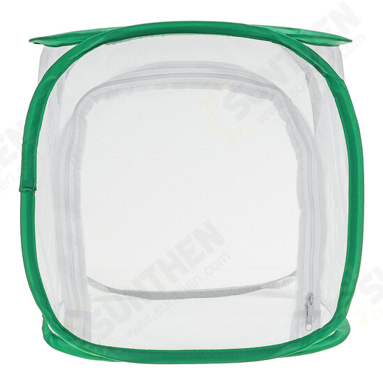 Green Collapsible Insect Habitat Cage Butterfly Mesh Transparent Surface Portable Zipper Cage Plant Breeding Net Prey Storage Basket Anti Bird Net