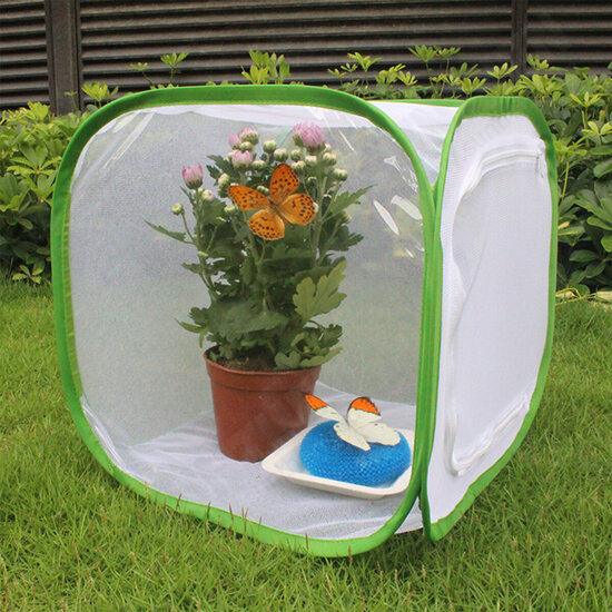 Green Collapsible Insect Habitat Cage Butterfly Mesh Transparent Surface Portable Zipper Cage Plant Breeding Net Prey Storage Basket Anti Bird Net