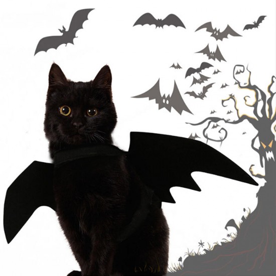 Halloween Cat Bat Wings Collar Harness Decor Puppy Pet Cat Black Bat Dress Up Funny Wing Cat Clothes