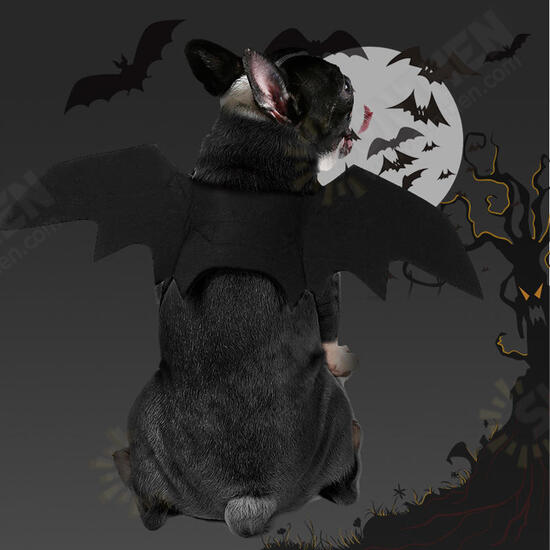 Halloween Cat Bat Wings Collar Harness Decor Puppy Pet Cat Black Bat Dress Up Funny Wing Cat Clothes