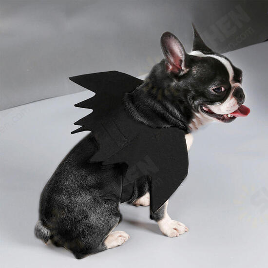 Halloween Cat Bat Wings Collar Harness Decor Puppy Pet Cat Black Bat Dress Up Funny Wing Cat Clothes