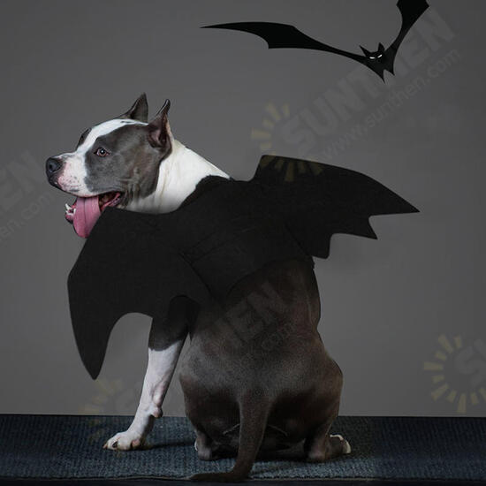 Halloween Cat Bat Wings Collar Harness Decor Puppy Pet Cat Black Bat Dress Up Funny Wing Cat Clothes