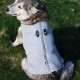 Hunting Dog Pet Vest Coat Breathable Sunscreen Cooling Tactical Clothing Jacket Dog Traction Rope