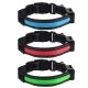 LED Dog Collar Anti-Lost Solar 2 Modes Luminous Pet Collar Warning Safety Night Light Dog Ring