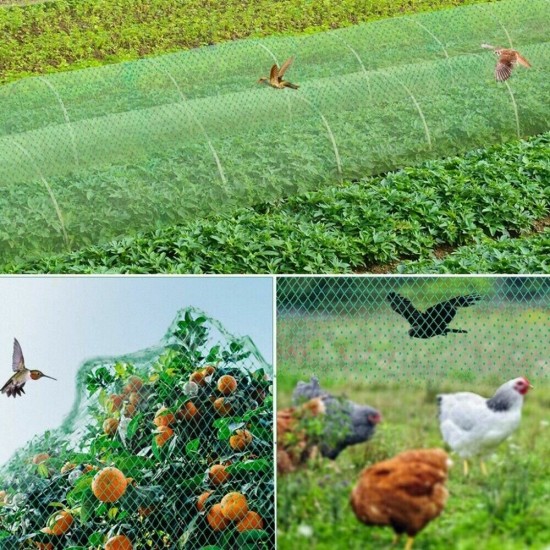 Large Anti Bird Protect Tree Nylon Net Fruit Crop Plant Garden Pond Netting Mesh