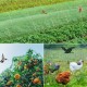 Large Anti Bird Protect Tree Nylon Net Fruit Crop Plant Garden Pond Netting Mesh