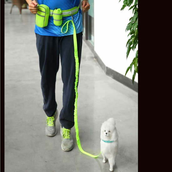 Nylon Pet Running Dog Strip Elastic Leash Zipper Bag Reflective Waist Belt Holder Set