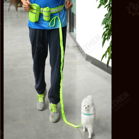 Nylon Pet Running Dog Strip Elastic Leash Zipper Bag Reflective Waist Belt Holder Set