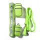 Nylon Pet Running Dog Strip Elastic Leash Zipper Bag Reflective Waist Belt Holder Set