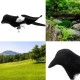 Outdoor Hunting Flocked Decoys Trick Magpie Decoying Shooting Garden Yard Cage Birds Decorations Hunting Accessories