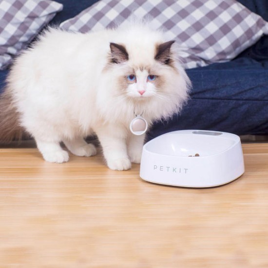 450ml Electronic Smart Pet Feeder Dog Cat Smart Weighing Food Bowl Digital Pet Drinking Feeder From