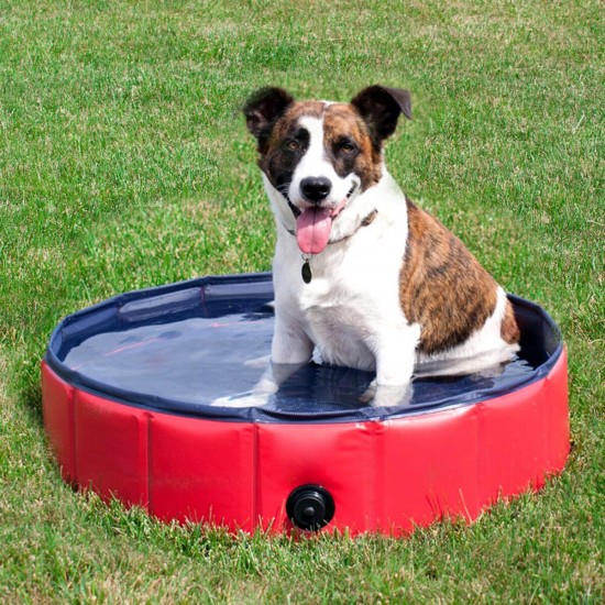 PVC Pet Bath Pool Dog Cat Animal Bath Washing Tub Folding Portable Swimming Pool