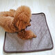 Pet Cooling Mat Dog Cat Summer Cooling Cushion Pads Breathable Comfortable Dog Supplies