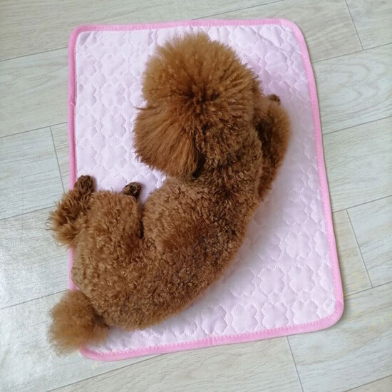 Pet Cooling Mat Dog Cat Summer Cooling Cushion Pads Breathable Comfortable Dog Supplies