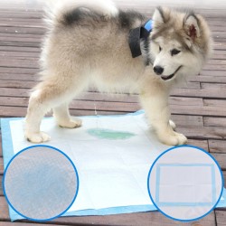Pet Diaper Disposable Super Absorbent Training Dog Diaper Healthy Cleaning Dog Pad Puppies Training Mat Pet Diaper Disposable Super Absorbent Training Dog Diaper Healthy Cleaning Dog Pad Puppies Training Mat
