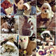 Pet Dog Cat ElK Costumes Winter Clothes Puppy Suit Christmas Party Dress Cosplay