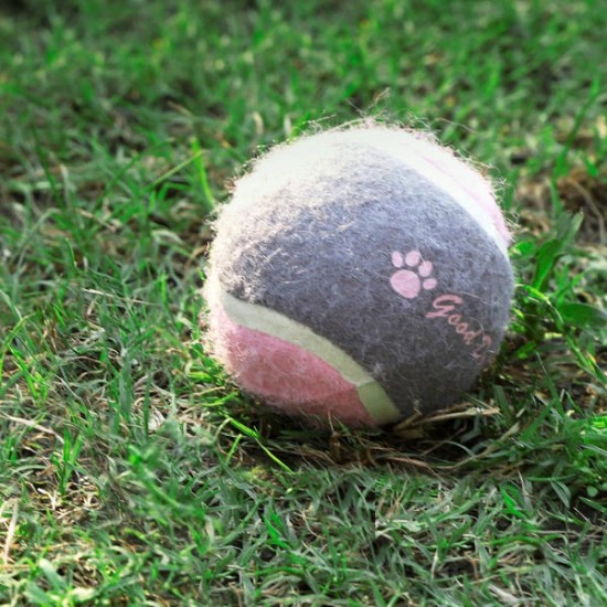 Pet Dog Tennis Chasing Training Roller Ball Toys Form