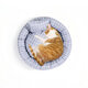 Pet Kennel Cat Dog Soft Comfortable Round Cushion Bed Winter Warm with Pillow