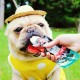 Pet T-shirt Dog Vest Coat Breathable Sunscreen Cooling Clothing Jacket Clothes