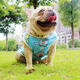 Pet Vest Comfortable Breathable Summer Cooling Clothes