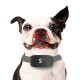 Touch Screen USB Rechargeable Anti Bark Dog Training Device Stop Barking Dog Collar Pet Trainer
