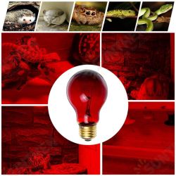 75W Heat Lamp Heating Infrared Pet Light Bulb for Reptile Tortoise AC110V 75W Heat Lamp Heating Infrared Pet Light Bulb for Reptile Tortoise AC110V