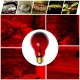 75W Heat Lamp Heating Infrared Pet Light Bulb for Reptile Tortoise AC110V