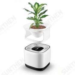 DC-4200 Air Purifier Micro-Ecological Purification Negative Ion Purification Green Plant Purification