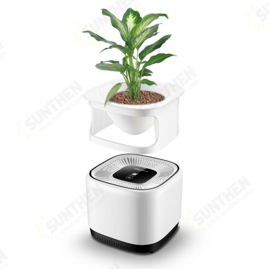 DC-4200 Air Purifier Micro-Ecological Purification Negative Ion Purification Green Plant Purification