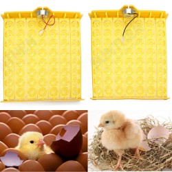 Automatic Egg Incubator 56 Eggs Turner Tray Chicken Quail Duck With 110V/220V Automatic Egg Incubator 56 Eggs Turner Tray Chicken Quail Duck With 110V/220V