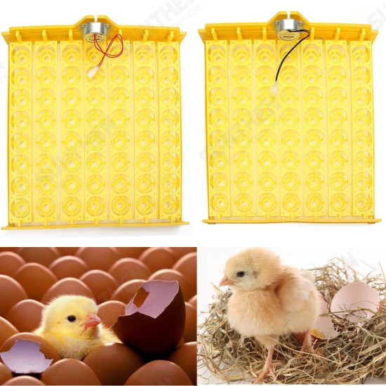 Automatic Egg Incubator 56 Eggs Turner Tray Chicken Quail Duck With 110V/220V