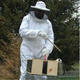 Beekeeping Protective Equipment Jacket Veil Full Body Suit Hat Smock Beekeeping Tools Set