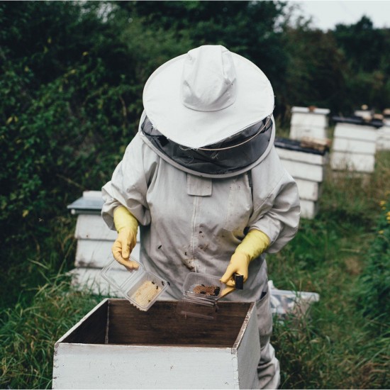 Beekeeping Protective Equipment Jacket Veil Full Body Suit Hat Smock Beekeeping Tools Set