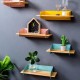 5 Color 20CM Floating Wall Mounted Shelf Hanging Holder Storage Iron Wood Display Bookshelf Bracket