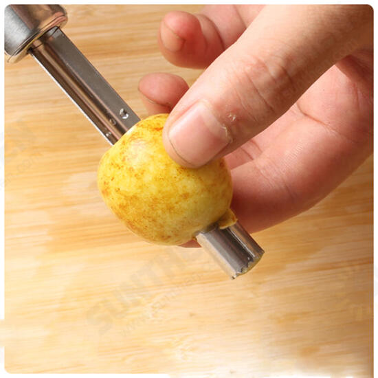 Stainless Steel Apple Core Remover Hawthorn Jujube Sydney Corer Fruit Coring Device Digging Tool Fruit Stalks Peeler Go Nuclear