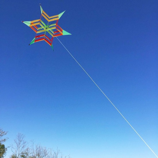 3D Colorful Hexagon Kite Single Line FRP Plum Flower Flying Kite Outdoor Sport Kids Adult Fun Toys