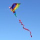 3D Parrot Kite Flyer Kite with 100m Noodle Board＆Spiral Floating Tail Kids Children Adult Beach Trip Park Family Outdoor Games Activities