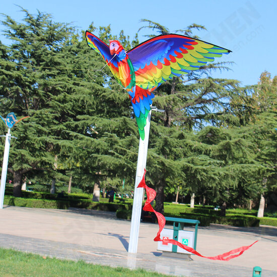 3D Parrot Kite Flyer Kite with 100m Noodle Board＆Spiral Floating Tail Kids Children Adult Beach Trip Park Family Outdoor Games Activities