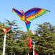 3D Parrot Kite Flyer Kite with 100m Noodle Board＆Spiral Floating Tail Kids Children Adult Beach Trip Park Family Outdoor Games Activities