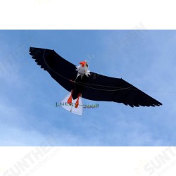 High Quality 3D Eagle Kite single line stunt kite Outdoor Sports Toys for kids High Quality 3D Eagle Kite single line stunt kite Outdoor Sports Toys for kids